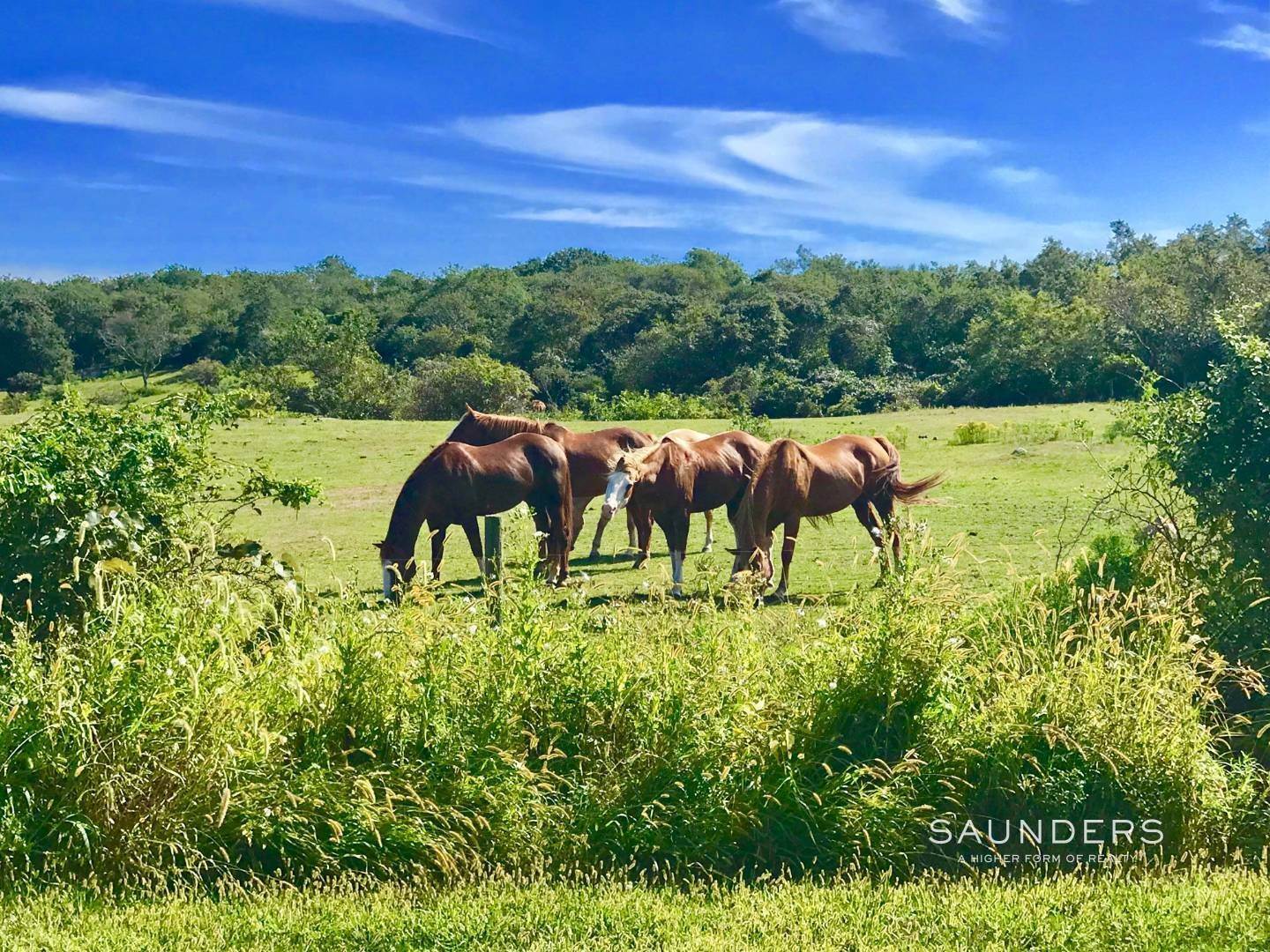 11. Land for Sale at Eight Unrivaled Acres At Montauk's Fabled Startop Ranch 101 & 107 Startop Drive, Montauk, NY 11954