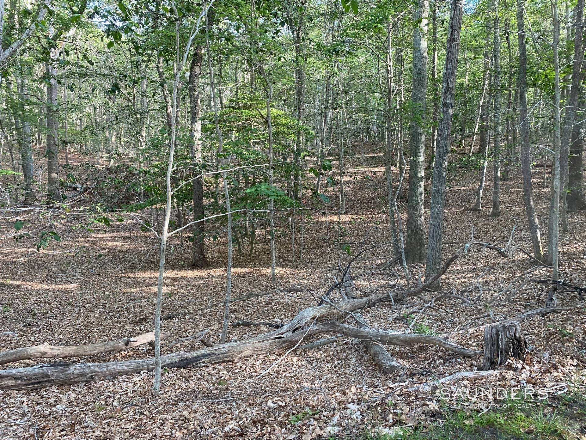9. Land for Sale at Gorgeous Bell Estate, Vacant Land 45 La Foret Lane, Amagansett, NY 11930