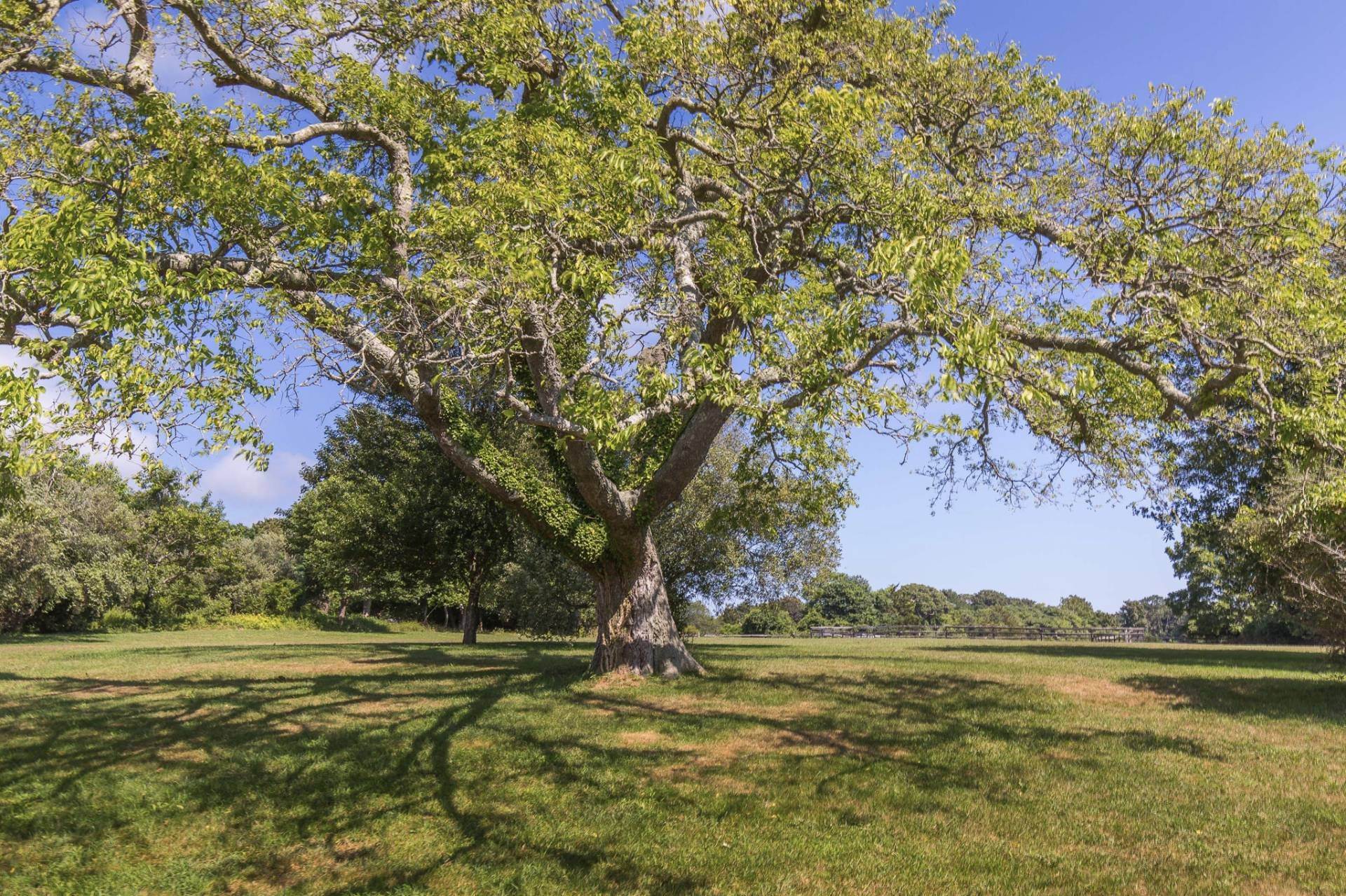 12. Land for Sale at Three Building Lots On Your Own 16-Acre Ag. Reserve 20 Springs Fireplace Road, East Hampton, NY 11937